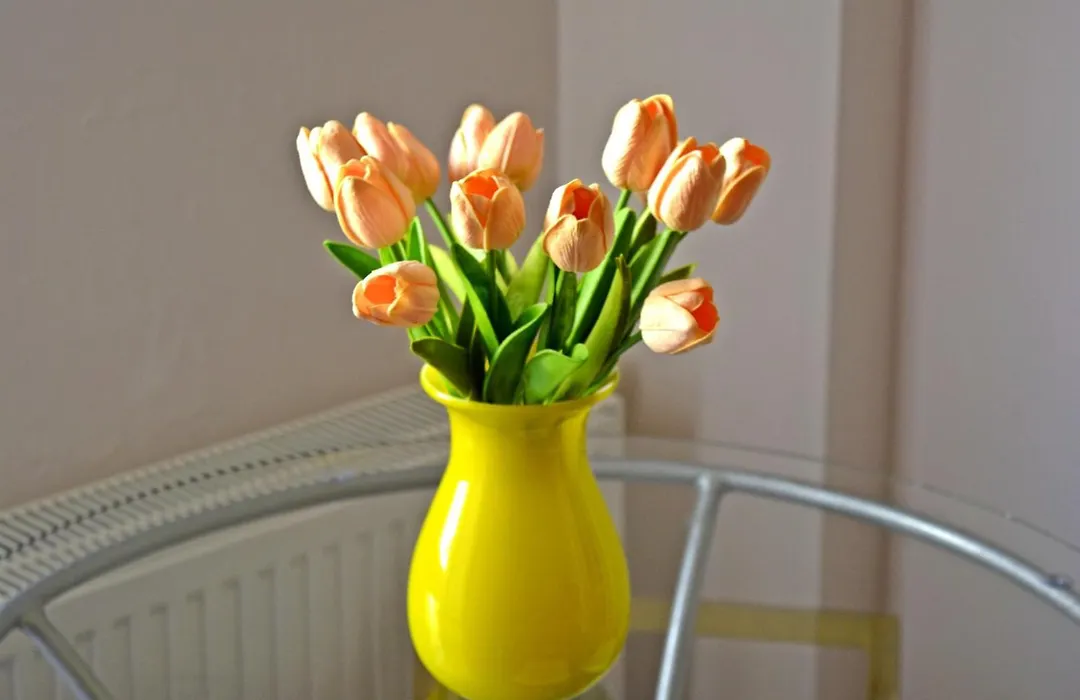 Aristotelous Boarding House-1
