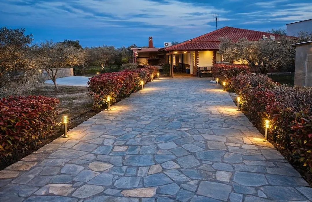 Narcis House-1
