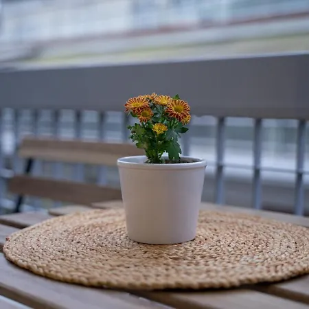 1Bd - Deer Traveler Central Apt-3