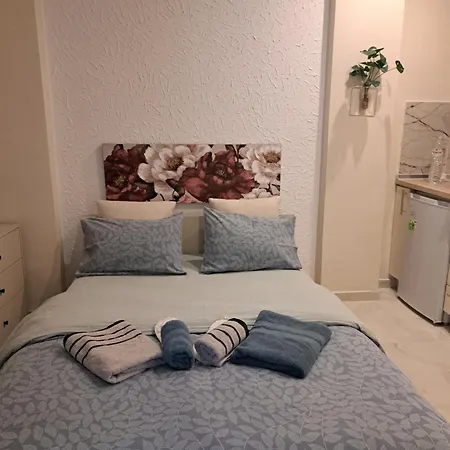 Domenica Studios 1-3