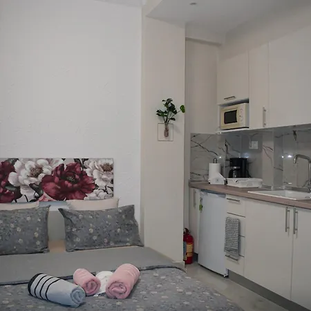Domenica Studios 1-2