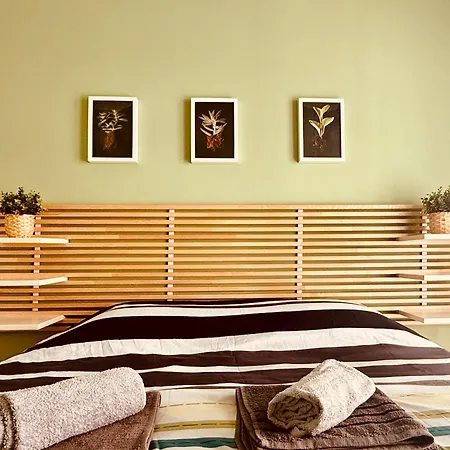 The Arch Suite-3