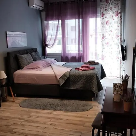 Cute Central Apartments-2