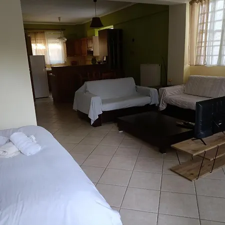 Paradise comfortable apartment-3
