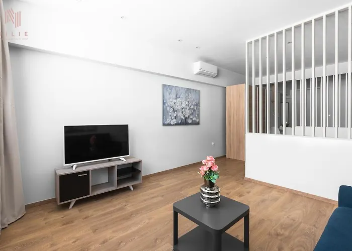 Huisdiervriedelijke Panama, Nilie Hospitality Mgmt Appartement Thessaloniki